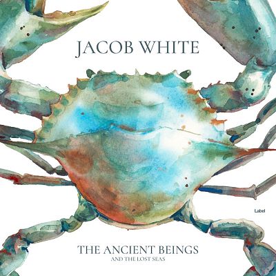 Pre Made Album Cover Envy