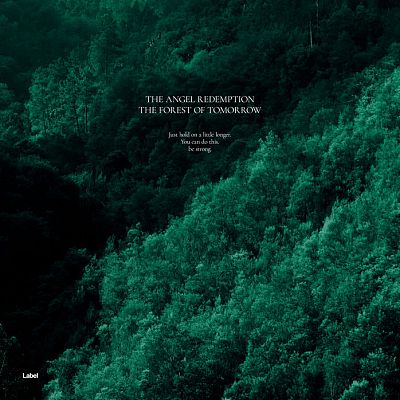 Pre Made Album Cover Bottle Green