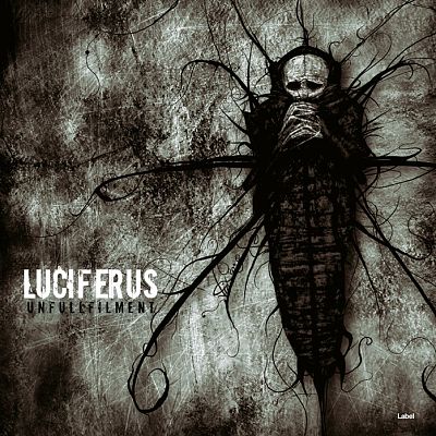 Pre Made Album Cover Armadillo