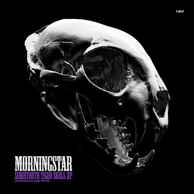 Pre Made Album Cover French Gray