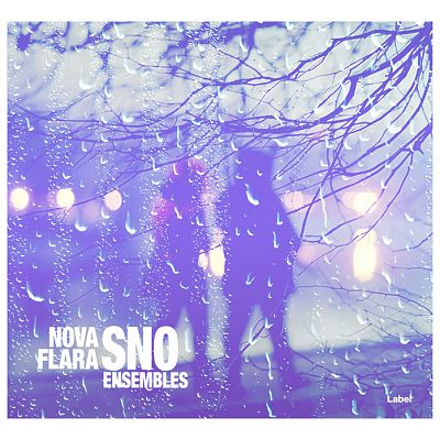 Pre Made Album Cover True V