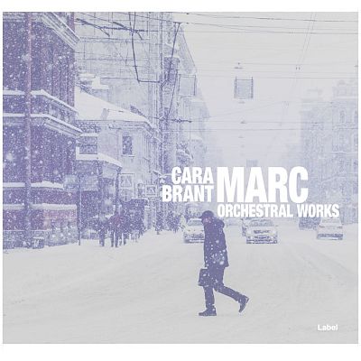 Pre Made Album Cover Iron