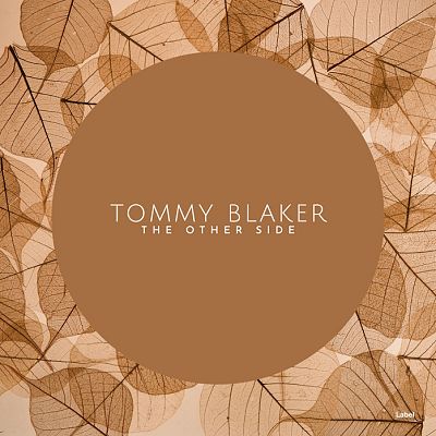 Pre Made Album Cover Driftwood