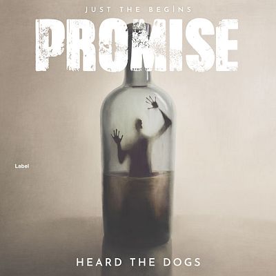 Pre Made Album Cover Sisal