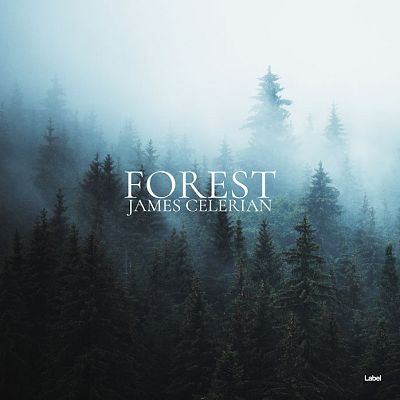 Pre Made Album Cover Outer Space