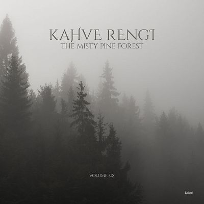 Pre Made Album Cover Gray Nickel