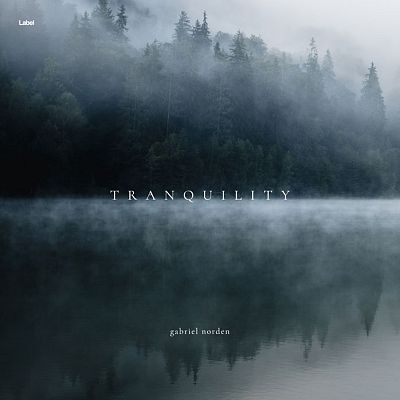 Pre Made Album Cover Outer Space