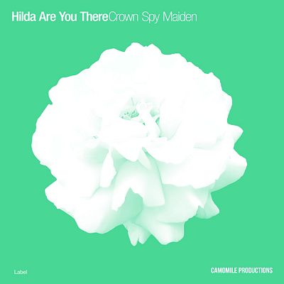 Pre Made Album Cover Shamrock