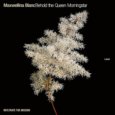 Pre Made Album Cover Malta