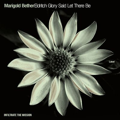 Pre Made Album Cover Log Cabin