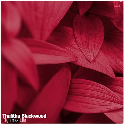 Pre Made Album Cover Old Brick