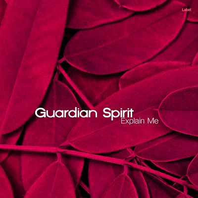 Pre Made Album Cover Paprika