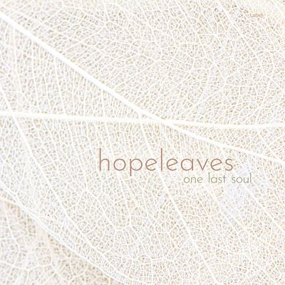 Pre Made Album Cover Pampas