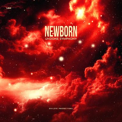 Pre Made Album Cover Flamingo