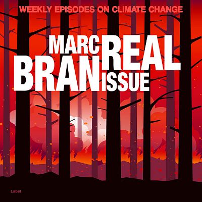 Pre Made Album Cover Cinnabar