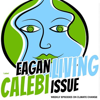 Pre Made Album Cover Malibu