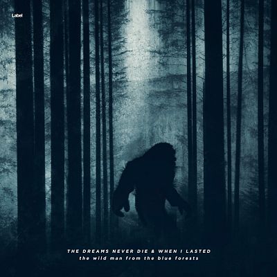 Pre Made Album Cover Firefly