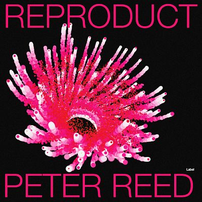 Pre Made Album Cover Cod Gray