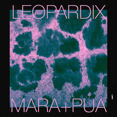 Pre Made Album Cover Bottle Green