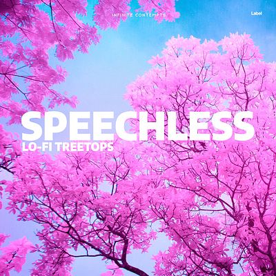 Pre Made Album Cover Lavender