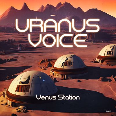 Pre Made Album Cover Woody Brown