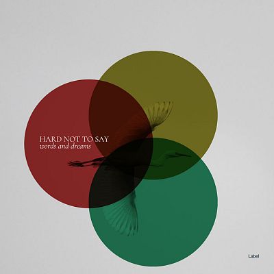 Pre Made Album Cover Silver