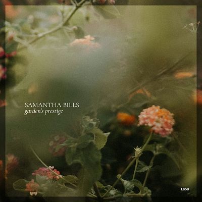 Pre Made Album Cover Lisbon Brown