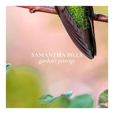 Pre Made Album Cover Rose Fog