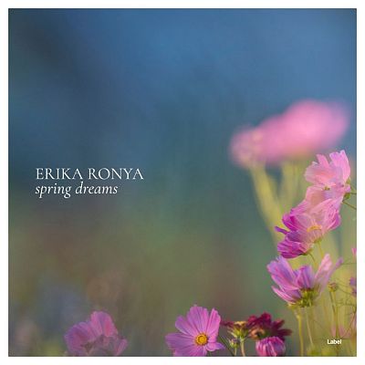 Pre Made Album Cover Shuttle Gray