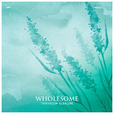 Pre Made Album Cover Sinbad