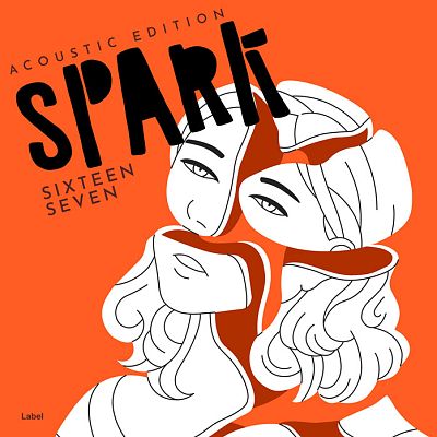 Pre Made Album Cover Flamingo