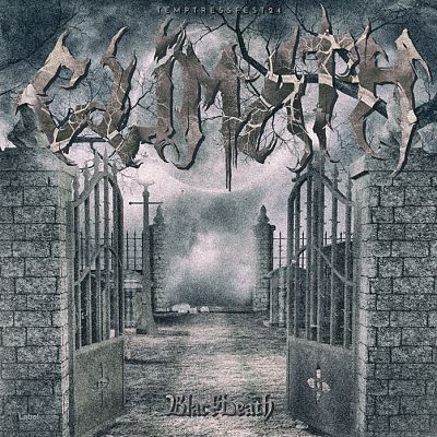 Pre Made Album Cover Nevada