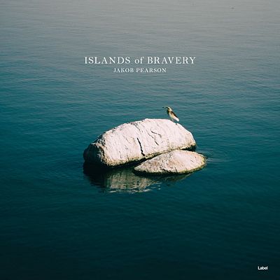 Pre Made Album Cover Blue Dianne