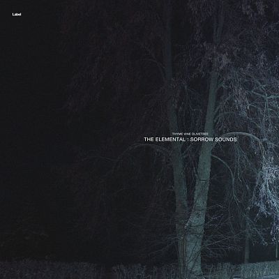 Pre Made Album Cover Shark