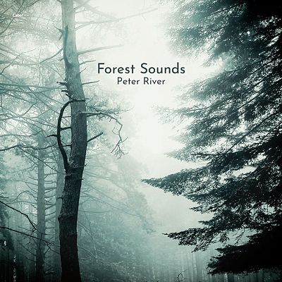 Pre Made Album Cover Powder Ash