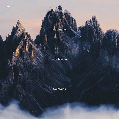 Pre Made Album Cover Pink Swan