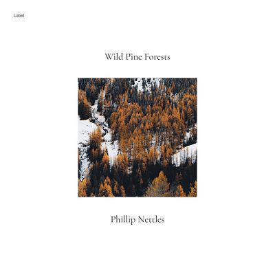 Pre Made Album Cover Masala