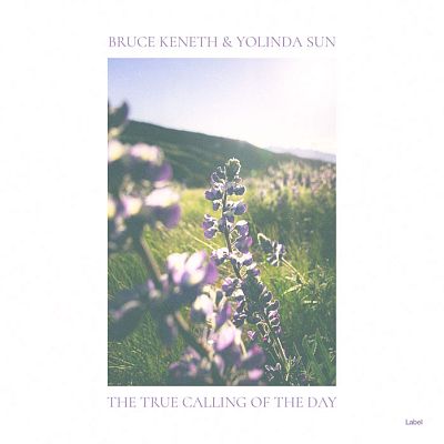 Pre Made Album Cover Ebb