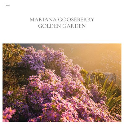 Pre Made Album Cover Spicy Mix