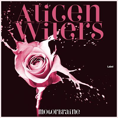 Pre Made Album Cover Aubergine