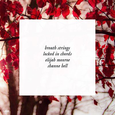 Pre Made Album Cover Paco