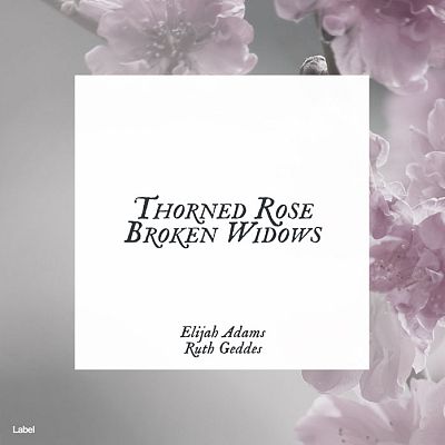 Pre Made Album Cover Shady Lady