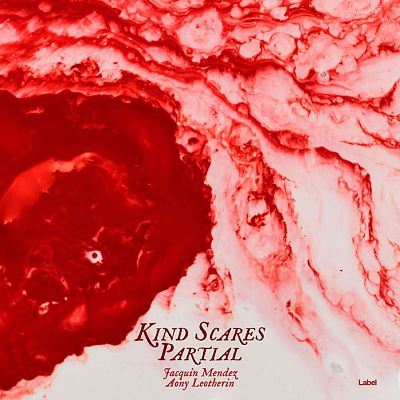 Pre Made Album Cover Oyster Pink