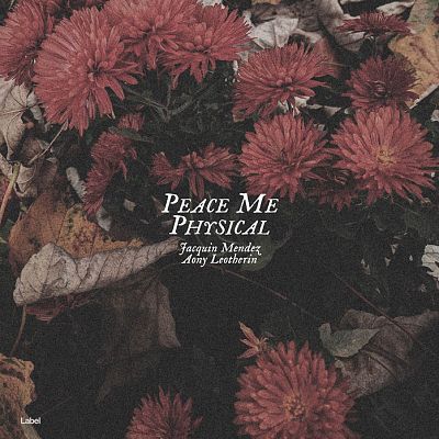 Pre Made Album Cover Masala