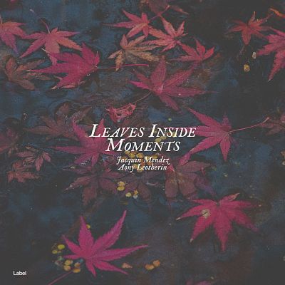 Pre Made Album Cover Tundora