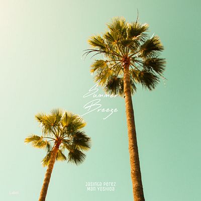 Pre Made Album Cover Surf