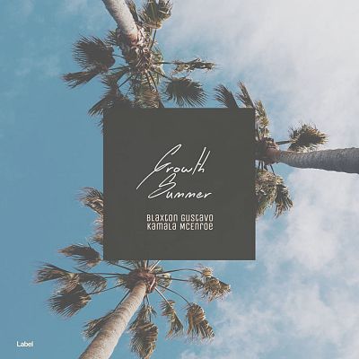 Pre Made Album Cover Bali Hai