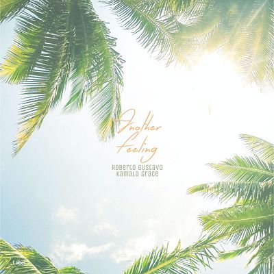 Pre Made Album Cover Battleship Gray