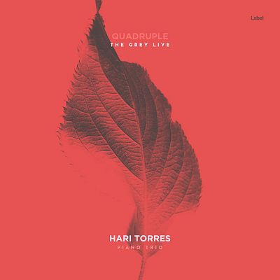 Pre Made Album Cover Mandy