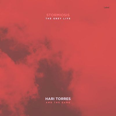 Pre Made Album Cover Fuzzy Wuzzy Brown